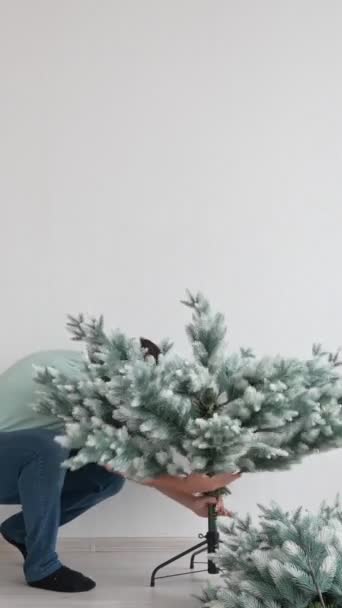 Běloch Připravuje Umělý Vánoční Stromek Vertikální Video Časová Prodleva — Stock video