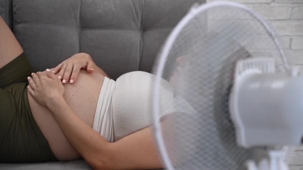 Hamile Bir Kadın Kanepeye Uzanmış Karnını Okşuyor Vantilatörün Serin Havasının — Stok video