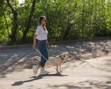 Kör kadın parkta rehber köpekle yürüyor.