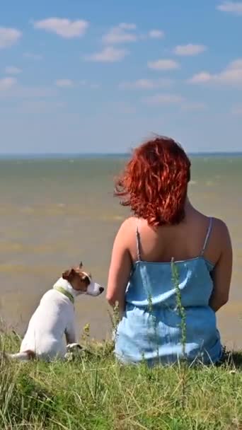 犬と一緒に川岸に座っている女性のリアビュー 女の子はペットと一緒に自然の中で週末を過ごしています バーティカルビデオ — ストック動画