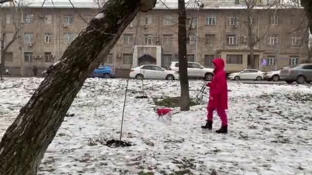Caucasian Woman Dog Jack Russell Terrier Walking Pink Jackets Winter — Stock Video