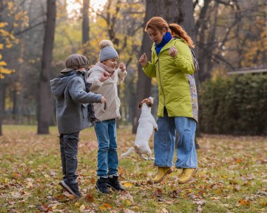 Beyaz çocuklar ve kızıl saçlı kadın sonbahar parkında köpek Jack Russell Terrier ile oynuyorlar.