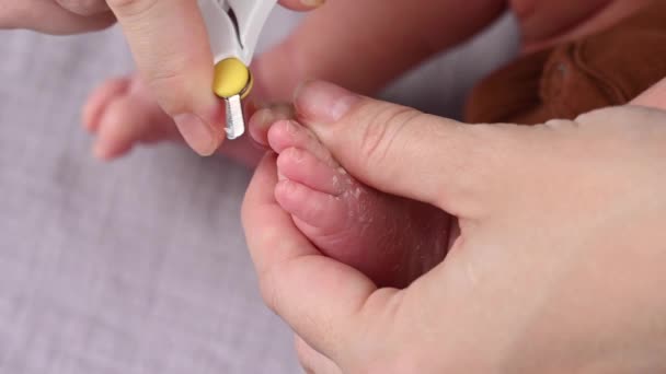 Moeder Snijdt Haar Pasgeboren Zonen Teennagels Met Kleine Baby Schaar — Stockvideo