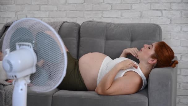 Вагітна Жінка Страждає Від Спеки Лежить Дивані Біля Електричного Вентилятора — стокове відео