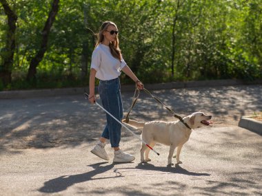 Kör kadın parkta rehber köpekle yürüyor.