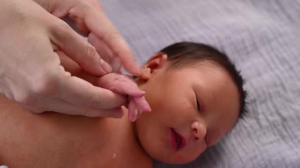 新生児は母親の指を握っている 手のクローズアップ ストック動画