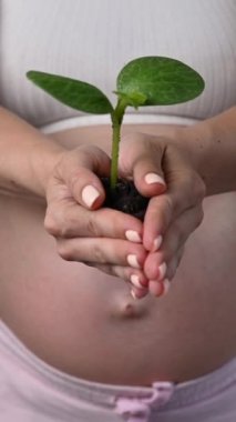 Hamile kadın bir filiz uzatıyor. Kesik göbek. Dikey video