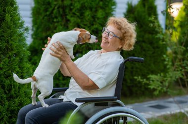 Elderly caucasian woman hugging a jack russell terrier dog while sitting in a wheelchair on a walk outdoors