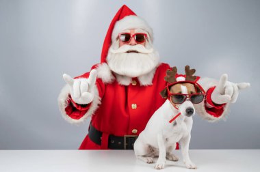 Noel Baba 'nın güneş gözlüklü portresi bir keçi işareti gösteriyor. Rudolph 'ta köpek Jack Russell Terrier beyaz arka planda geyik kulakları