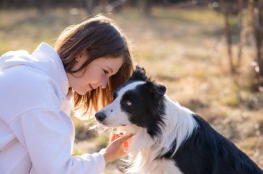 Sonbahar parkında sınır köpeğini kucaklayan beyaz bir kadın. Köpekli bir kızın portresi.