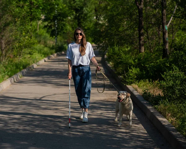 Kör kadın parkta rehber köpekle yürüyor.