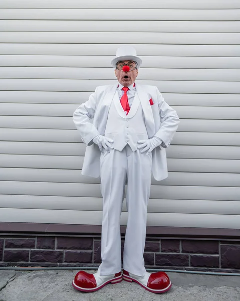 Полный Портрет Клоуна Белом Классическом Костюме Винтажной Высокой Шляпе — стоковое фото