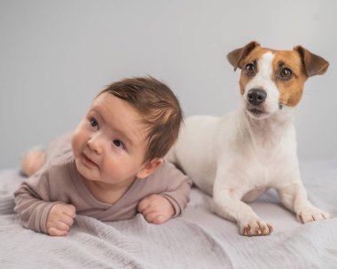 Karnının üstünde yatan bir bebeğin portresi ve Jack Russell Terrier köpeği.
