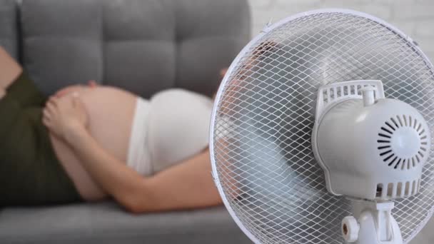 Seorang Wanita Hamil Berbaring Sofa Membelai Perutnya Dan Menikmati Udara — Stok Video