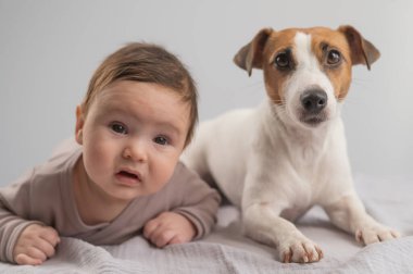 Karnının üstünde yatan bir bebeğin portresi ve Jack Russell Terrier köpeği.