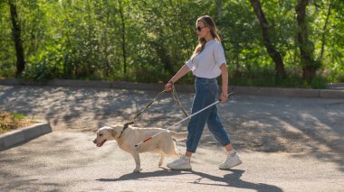 Kör kadın parkta rehber köpekle yürüyor.