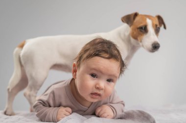 Karnının üstünde yatan bir bebeğin portresi ve Jack Russell Terrier köpeği.