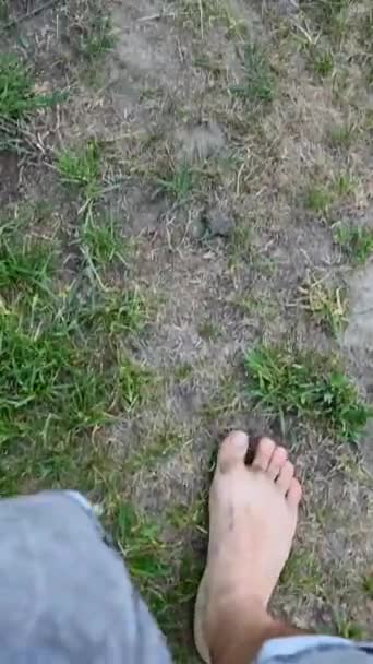 Najlepszy Widok Bosmana Chodzącego Trawniku Pionowe Wideo — Wideo stockowe