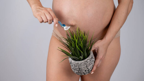 A faceless pregnant woman shaves a plant with a razor. Metaphor for epilation of the bikini area