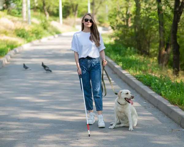 Blind woman walking with guide dog in the park