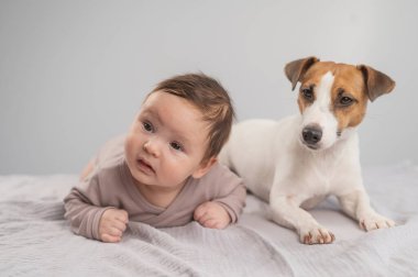Karnının üstünde yatan bir bebeğin portresi ve Jack Russell Terrier köpeği.