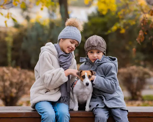 Erkek ve kız kardeş, sonbahar parkında yürüyüş yapmak için bir bankta bir köpekle kucaklaşırlar. Oğlan, kız ve Jack Russell Terrier