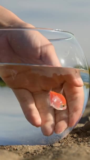 Plajda Yuvarlak Bir Akvaryumda Balık Tutan Bir Kadın Dikey Video — Stok video