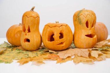 Akçaağaç yaprakları üzerinde bir grup balkabağı-fener. Beyaz arka planda Cadılar Bayramı dekorasyonu