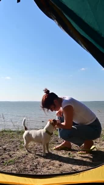 从一个旅游帐篷看到一个女人在海滨和一只狗玩耍 那女孩在乡间搭起帐篷 — 图库视频影像