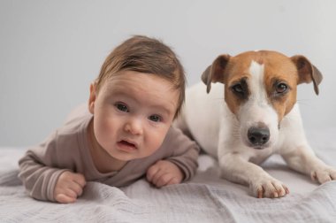 Karnının üstünde yatan bir bebeğin portresi ve Jack Russell Terrier köpeği.