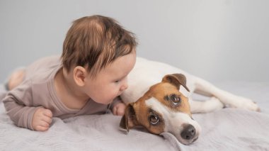 Karnının üstünde yatan bir bebeğin portresi ve Jack Russell Terrier köpeği.