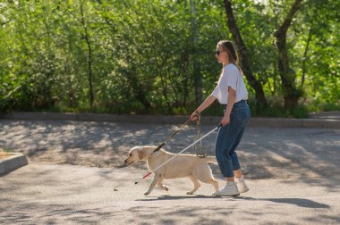 Kör kadın parkta rehber köpekle yürüyor.