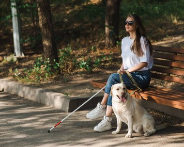 Kılavuz köpekle bankta oturan kör beyaz kadın.