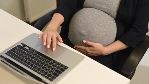 Беременная Женщина Работает Ноутбуке Офисе Крупный План Живота — стоковое видео
