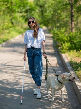 Kör kadın parkta rehber köpekle yürüyor.