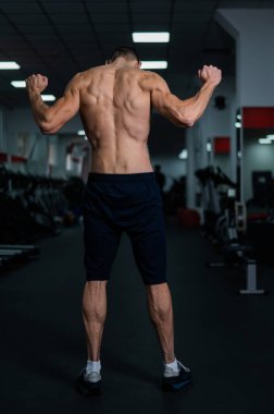 Back view of shirtless man with sculpted body in gym