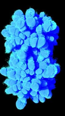 Dikey video. Mavi duman bulutları siyah arka planda bir halka oluşturur. 3d hazırlayıcı