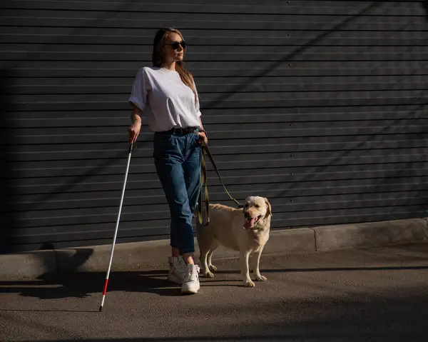 Blind woman walking guide dog outdoors