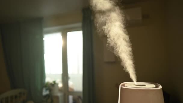 Ein Luftbefeuchter Verdunstet Feuchtigkeit Schlafzimmer — Stockvideo