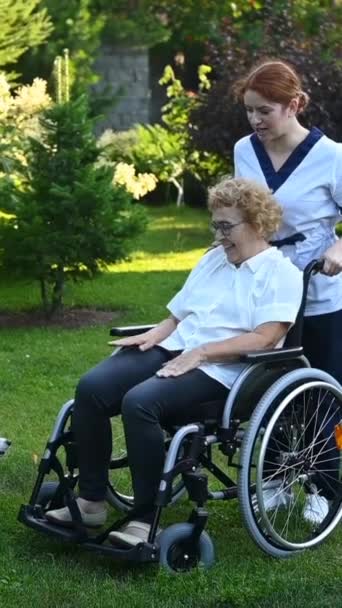 白人女医生和一位坐在轮椅上的老年病人在公园里散步 护士陪着一位老年妇女在户外遛狗 垂直录像 — 图库视频影像