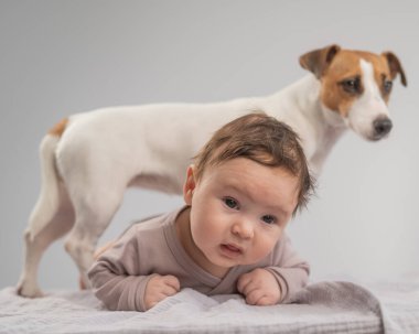 Karnının üstünde yatan bir bebeğin portresi ve Jack Russell Terrier köpeği.