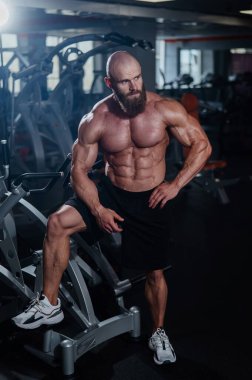 Şort giymiş kaslı kel adam. Vücut geliştirici spor salonunda vücudunu gösteriyor.