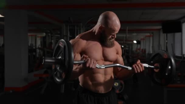 Beyaz Kel Üstsüz Bir Adam Spor Salonunda Halterle Egzersiz Yapıyor — Stok video