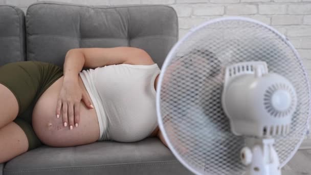 妊婦がソファに横たわり 彼女の腫瘍を打って 電気ファンから涼しい空気を楽しんでいる — ストック動画