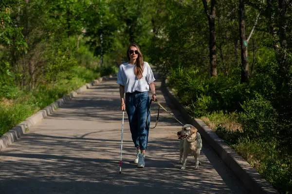 Kör kadın parkta rehber köpekle yürüyor.