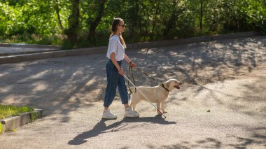 Kör kadın parkta rehber köpekle yürüyor.