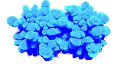 Mavi duman bulutları beyaz arka planda bir halka oluşturur. 3d hazırlayıcı