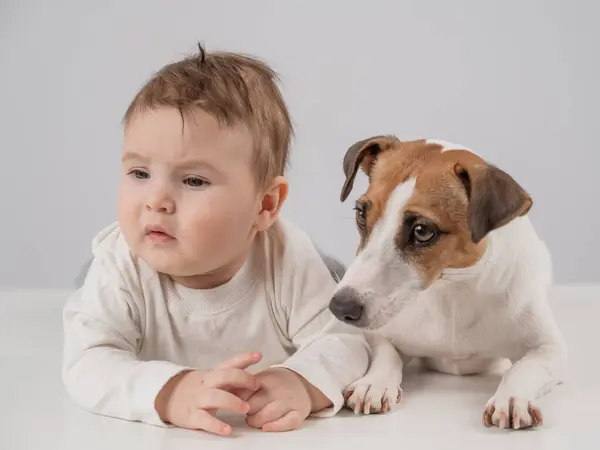 Carino Bambino Ragazzo Jack Russell Terrier Cane Sdraiato Abbraccio Uno Foto Stock