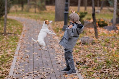Beyaz çocuk sonbahar parkında bir köpekle yürüyüşe çıkıyor.