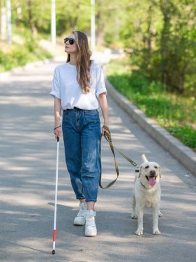 Kör kadın parkta rehber köpekle yürüyor.